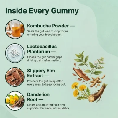 Jevawell Probiotic Kombucha Gummy with kombucha powder and probiotics