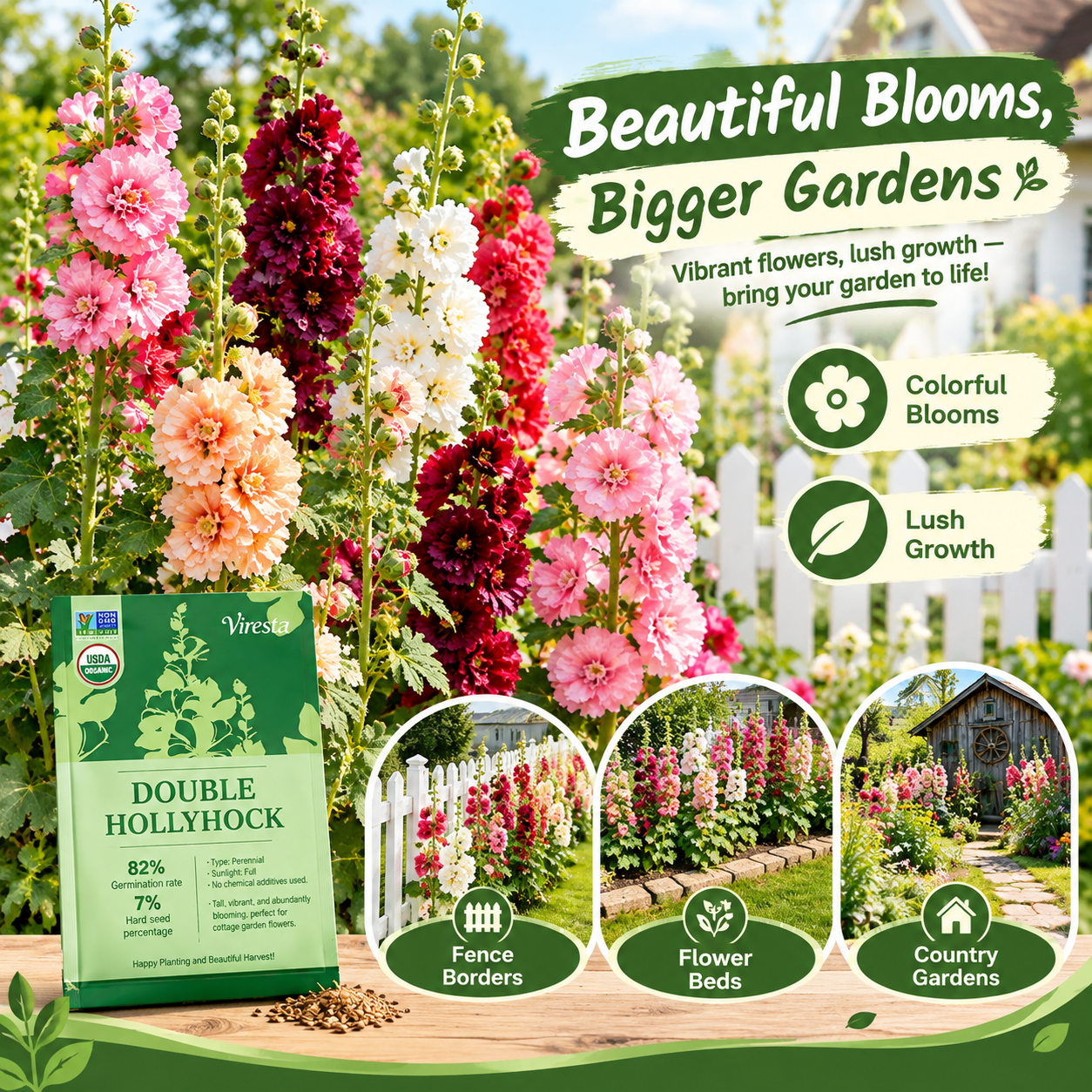 Viresta non-GMO heirloom hollyhock seeds